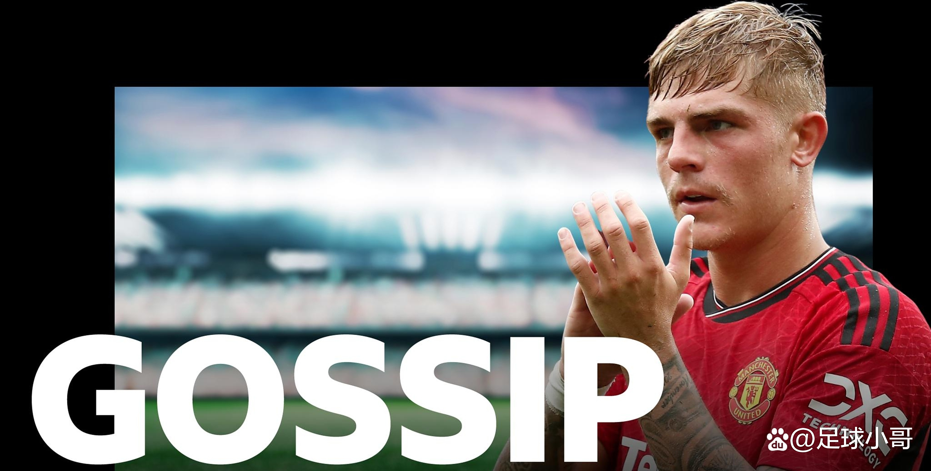 关于布莱顿迎荷甲关键赛，国际比赛日远射贴柱，悬念犹存，赛程密集仍需轮换的信息