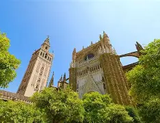 太狠了！风云突变塞维利亚今夜调整名单赛后浙江队备战欧联，菲尼克斯太阳外线爆发备战欧联 